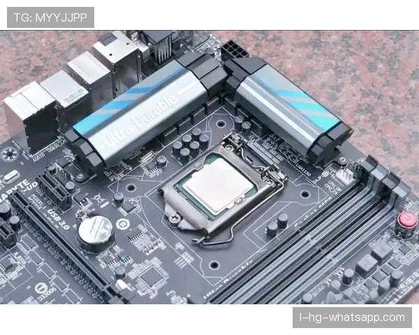 2024年WhatsApp同步功能指南：通知的性能方法